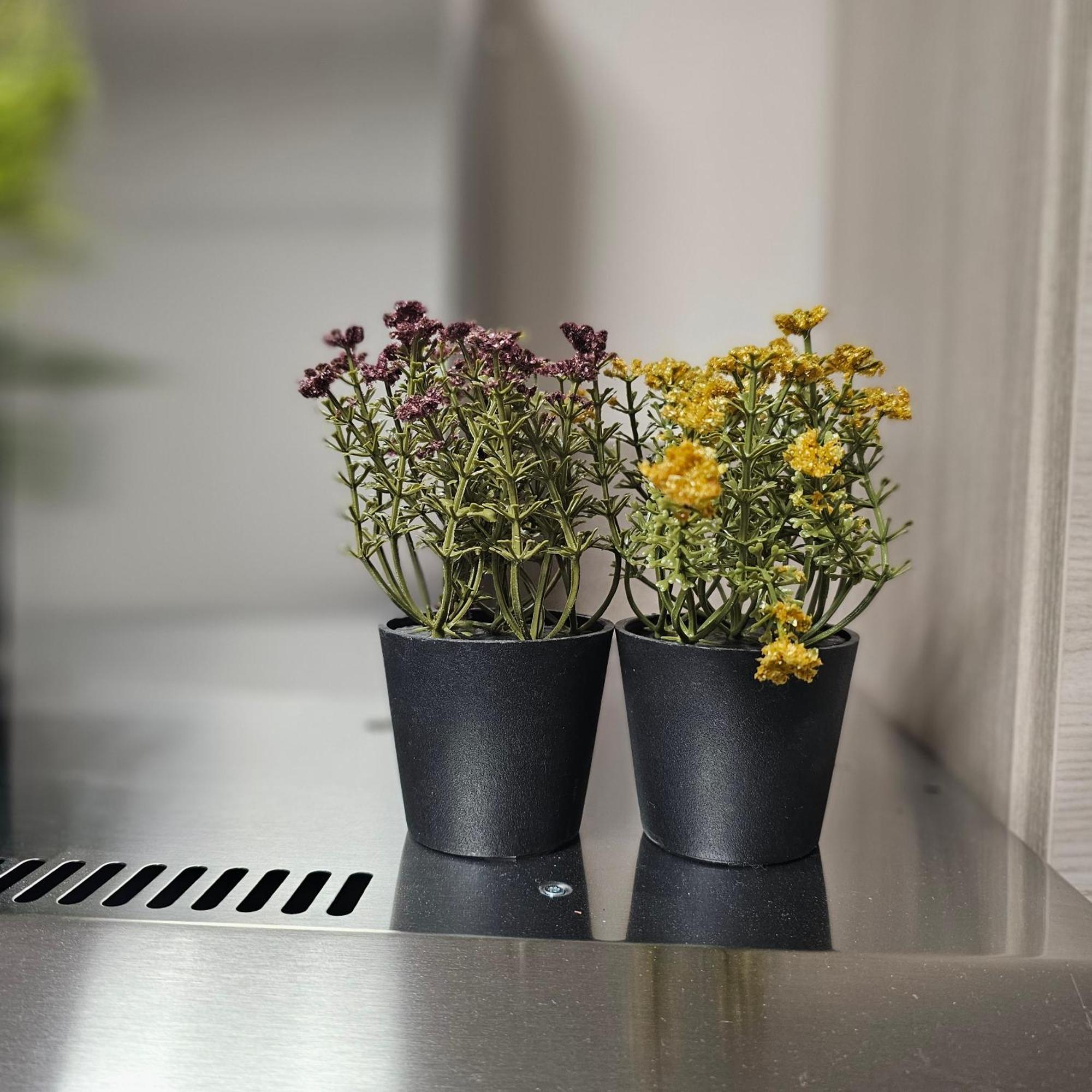Fuffy House Rome Apartman Kültér fotó